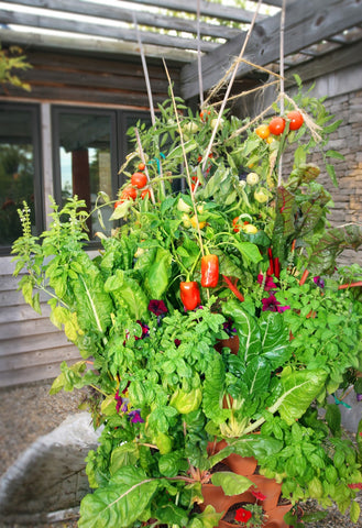 vertical vegetable garden with large vegetables planted in the top