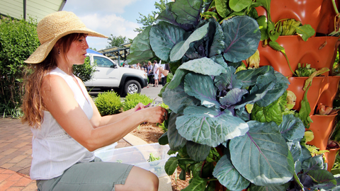 woman tending to vertical vegetable garden