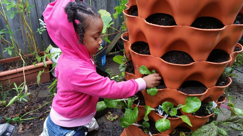 young child planting seedlings into their vertical vegetable garden