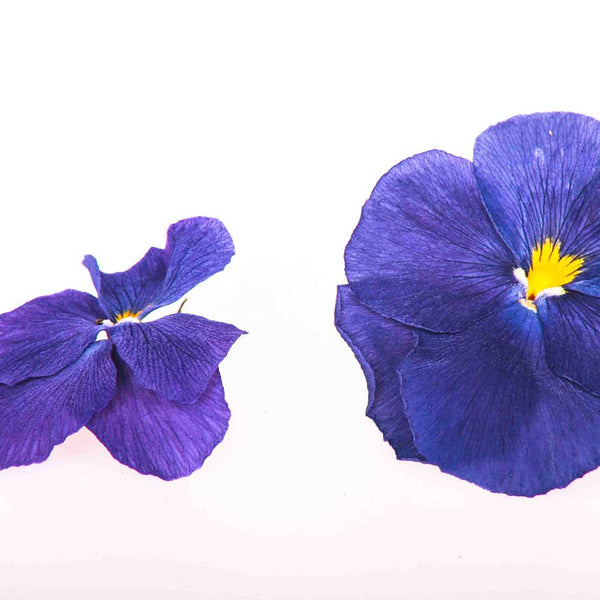 Organic Freeze Dried Edible Pansies - dried edible pansy ...