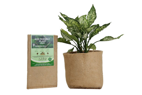 Outdoor Eco Friendly Jute Plant Pots (19 Liters)