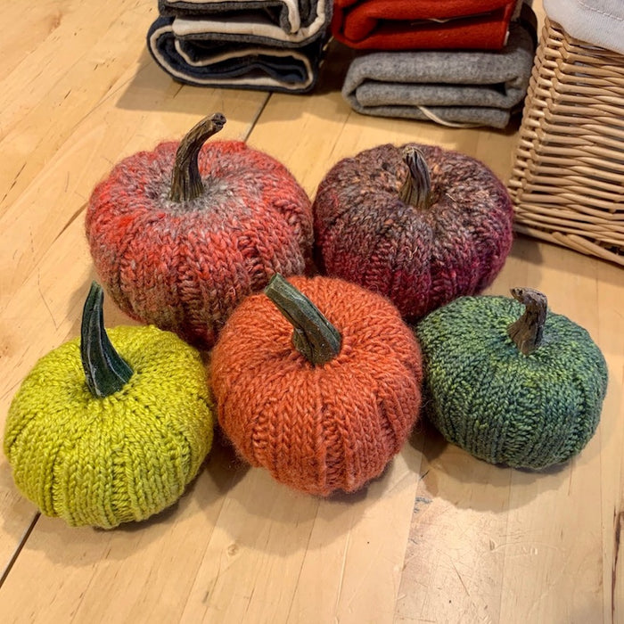 Pumpkin Knitting Kit - Stranded by the Sea
