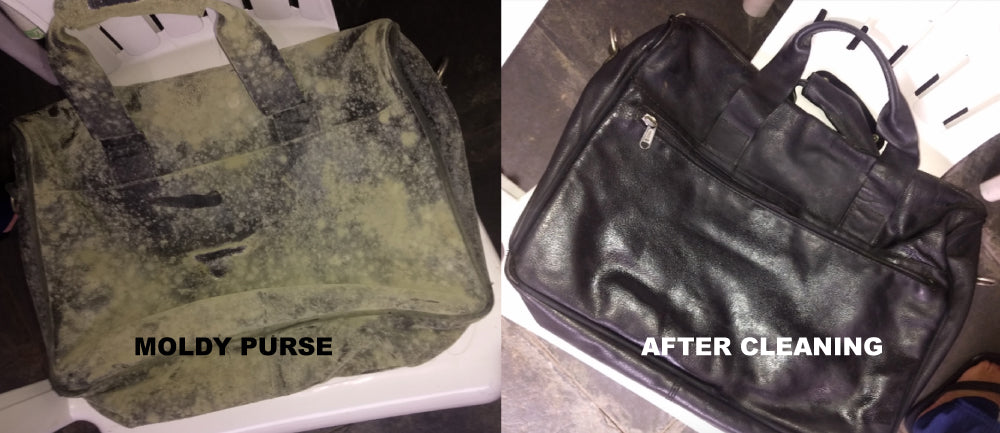 A moldy purse cleanup