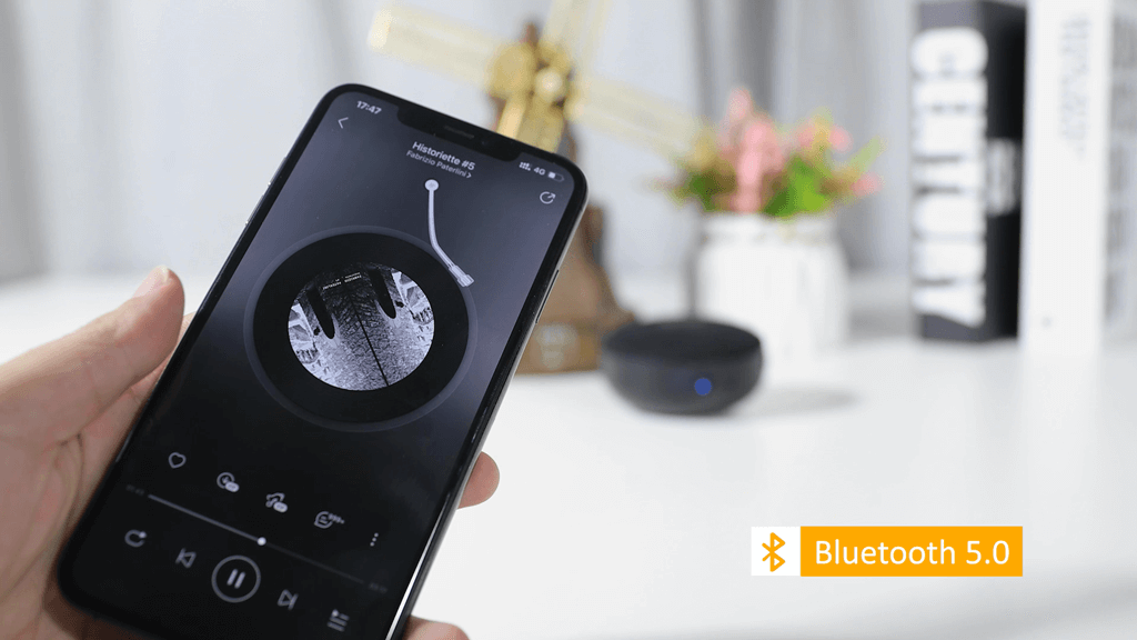 Bluetooth Speaker Connection