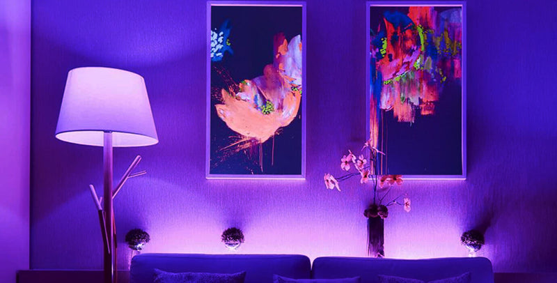 Black Light Blubs for Home Interior Decoration