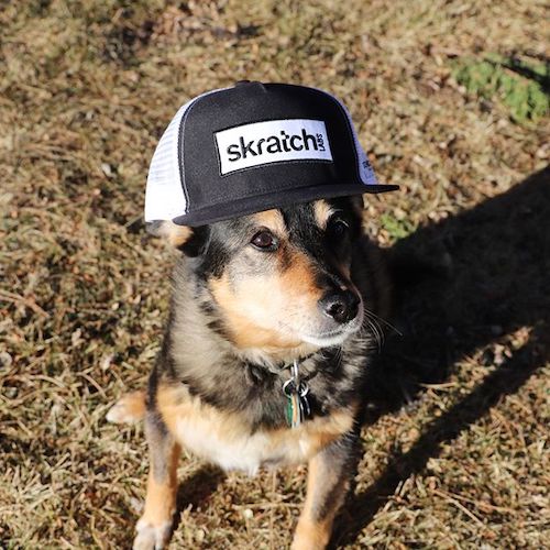 Skratch Labs Dogs