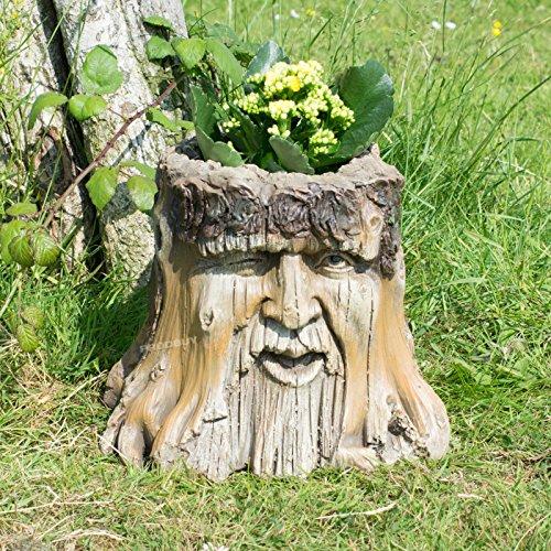 Prodbuy Limited Decorative Tree Stump Face Planter Winking Face