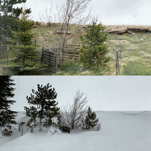 before and after snow