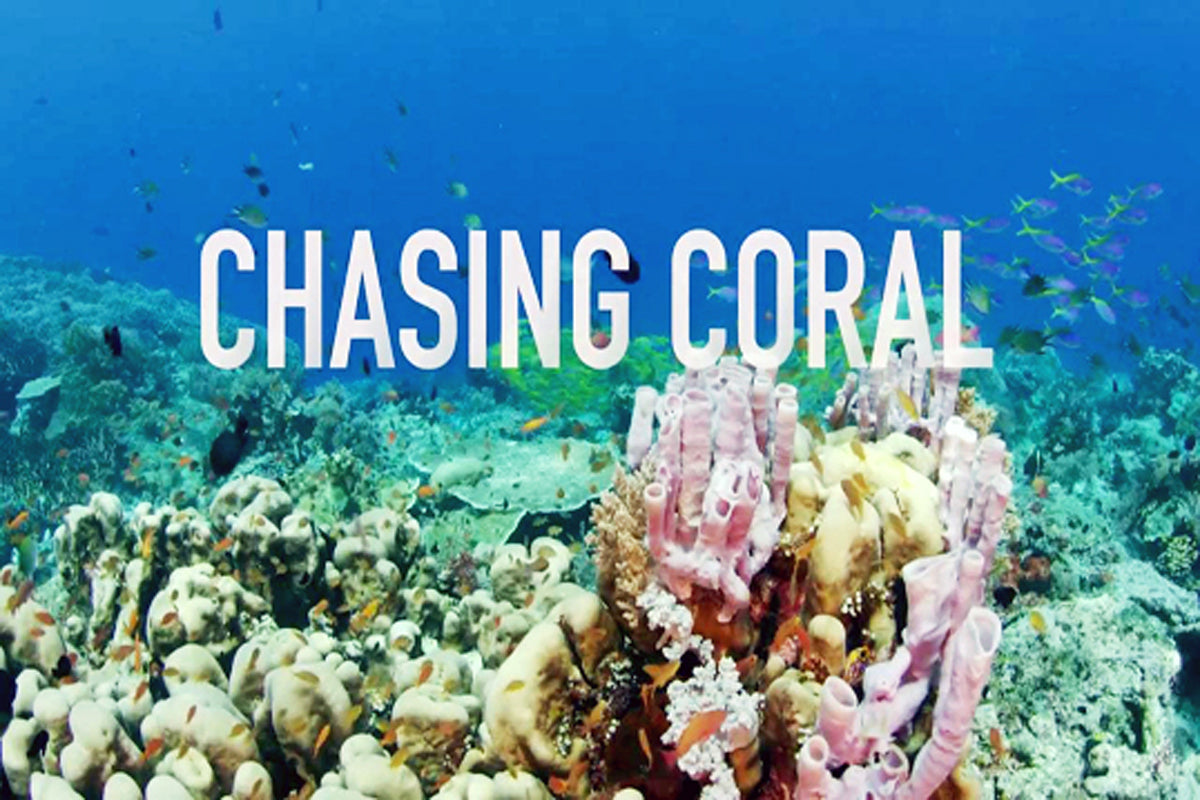 Chasing Coral - A Story Hidden Below the Waves – aquaticlife.com