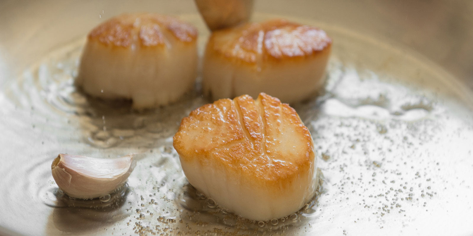 Ultimate Guide To Pan Searing Scallops And Shrimp Hestan Cue