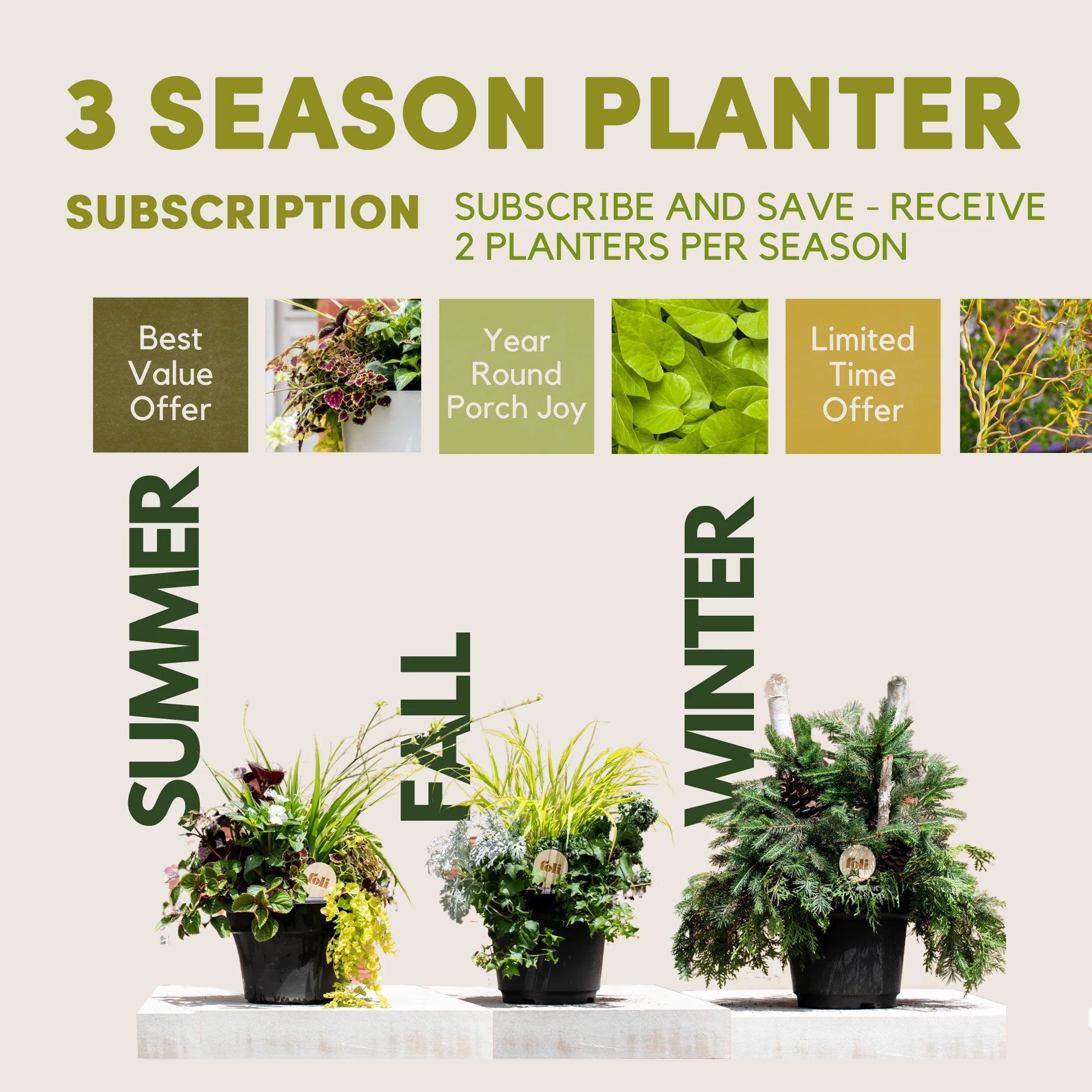 FULL YEAR PLANTER SUBSCRIPTION