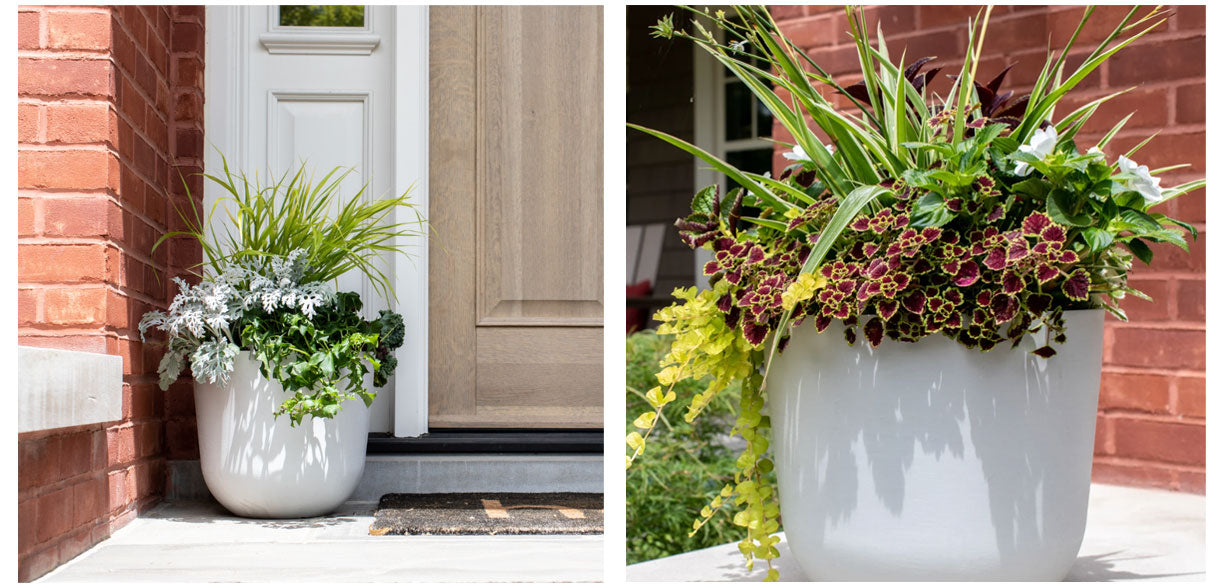 Foli Planters