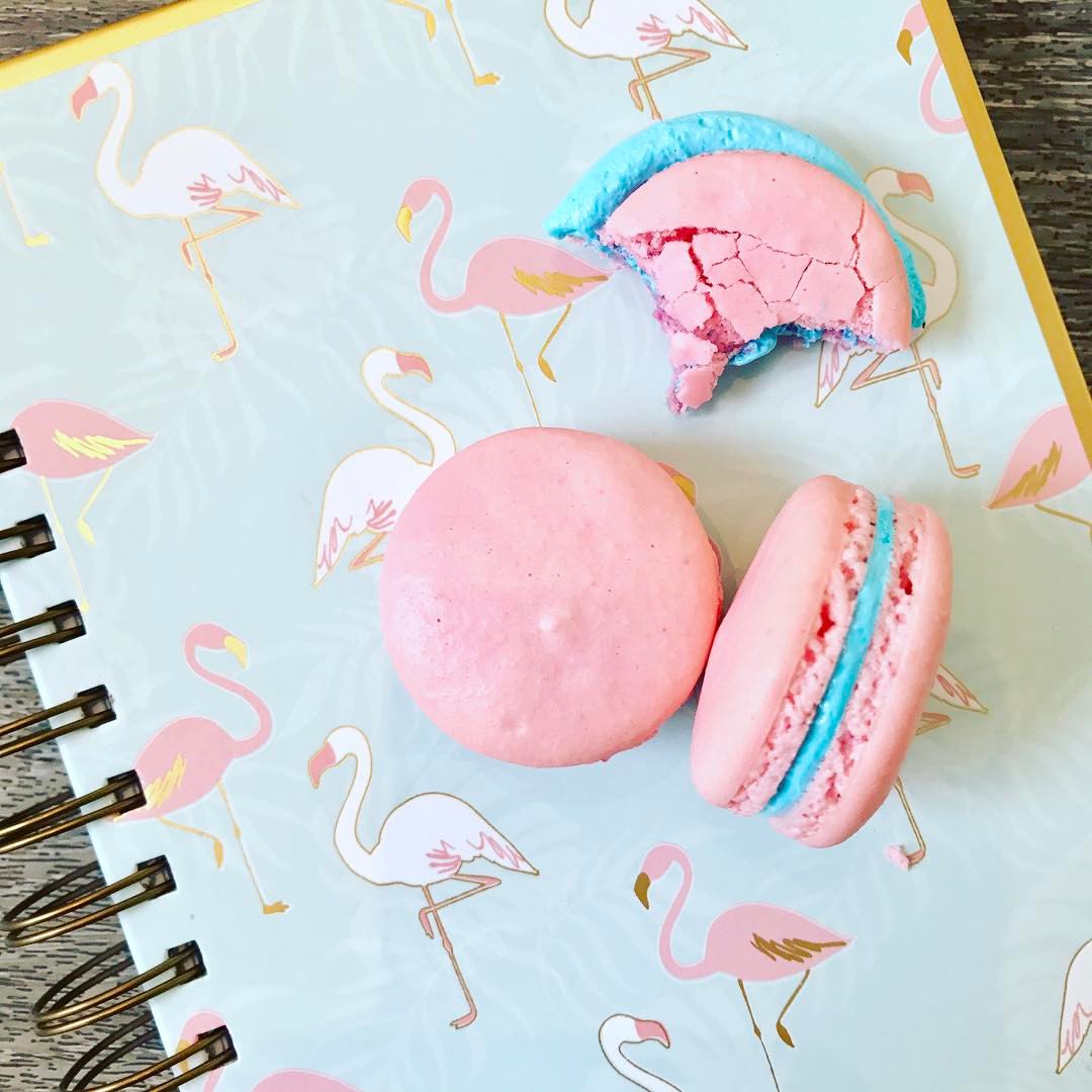 Cotton Candy French Macaron 6 Pack Chick Boss Cake