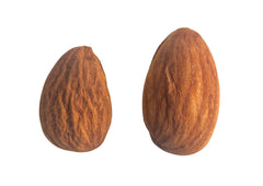 Raw Almond vs Activated Raw Almond size image