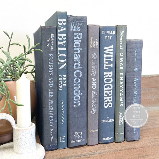 Blue Book Stack for Shelf Decor – Elements