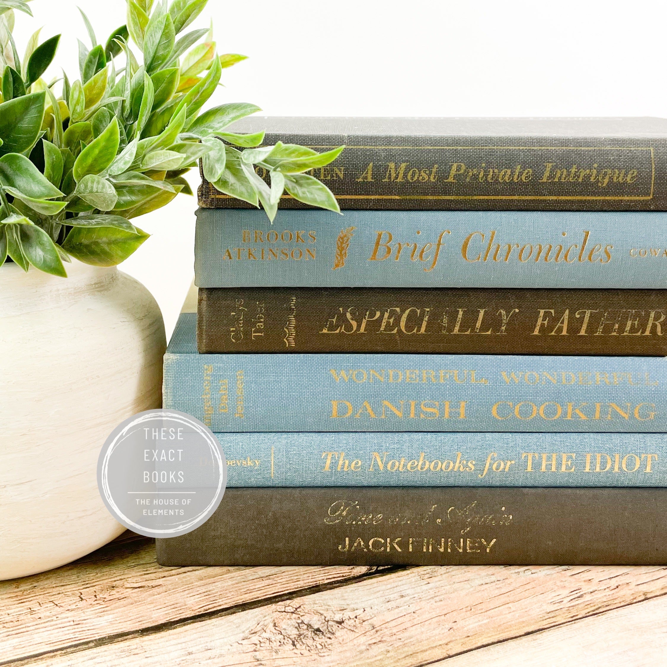 Blue and Black Vintage Decorative Books