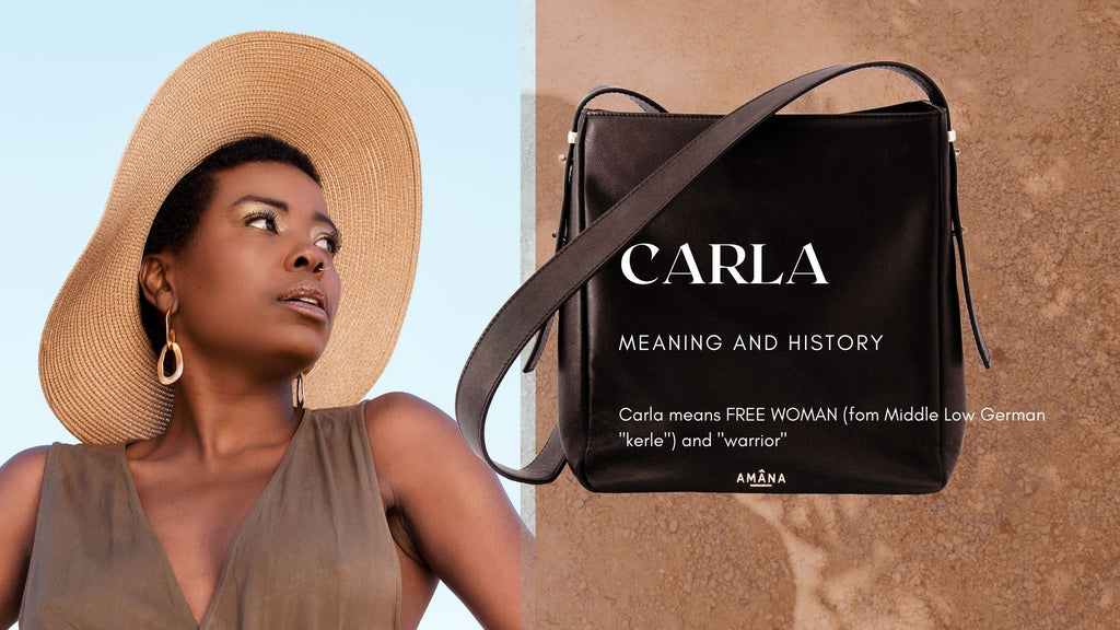 leather handbags; handbags; fashion bags; carla