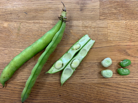 Fava Beans step by step