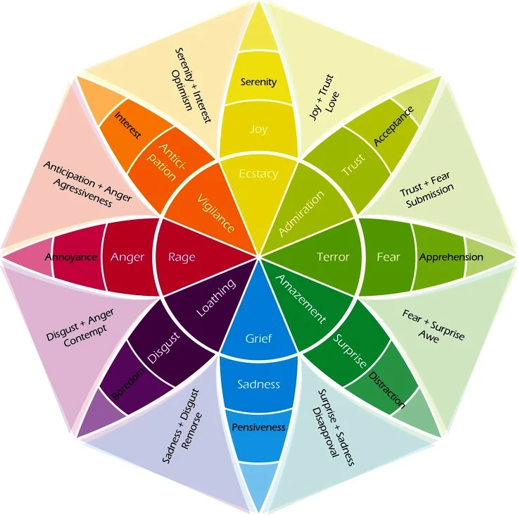 random emotion generator wheel