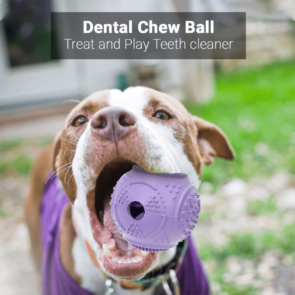 dog dental toy