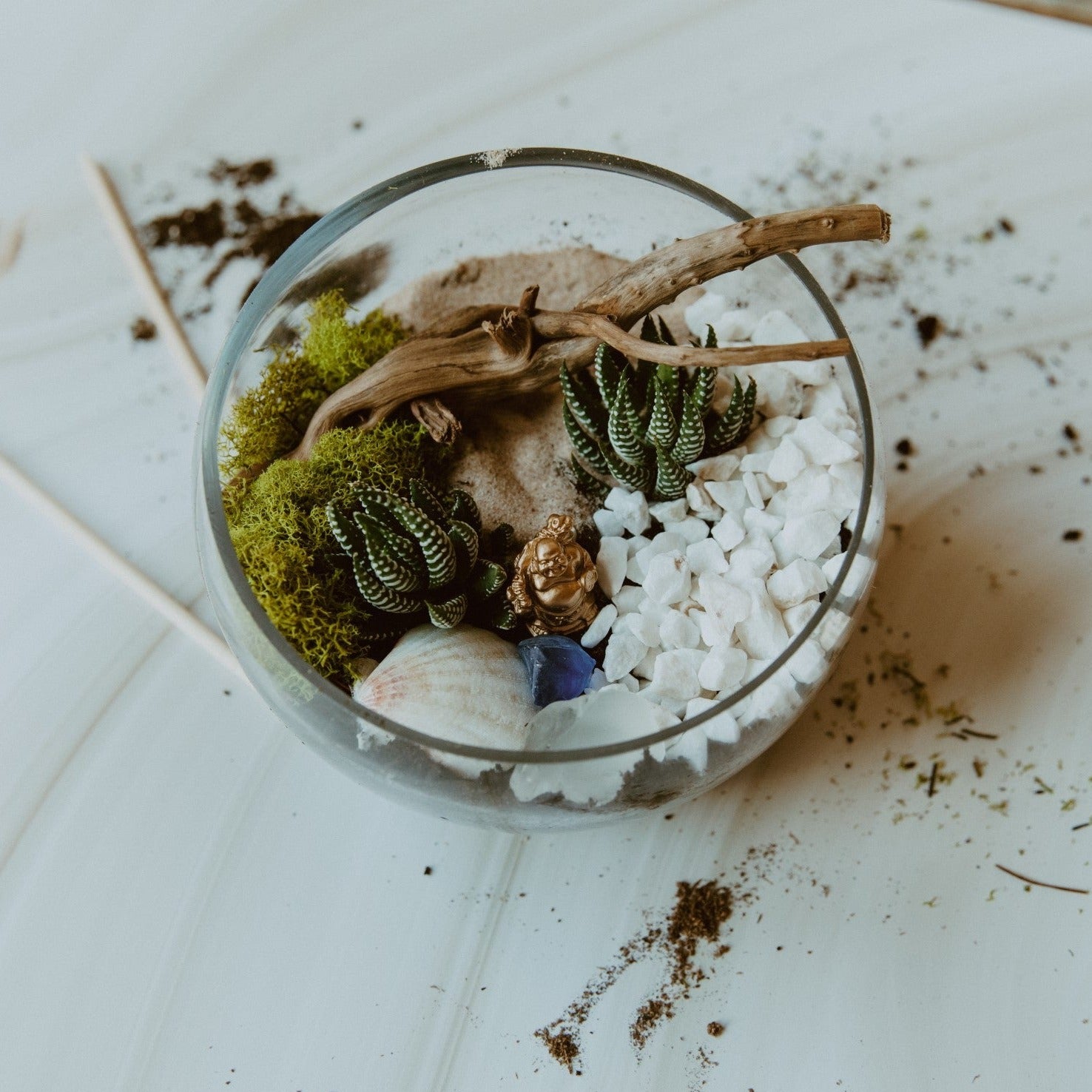 Succulent Terrarium Workshop