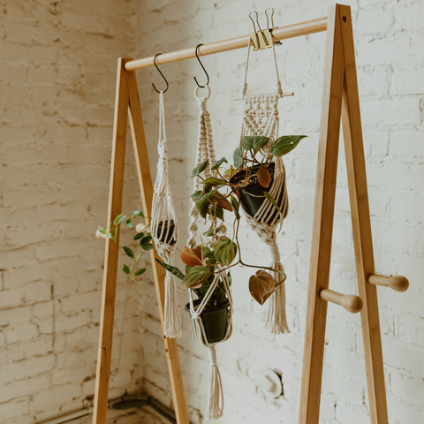 macrame plant hanger for at home plants