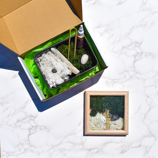 DIY Moss Art Wall Kit (3 frame kit) – NaturelyBox