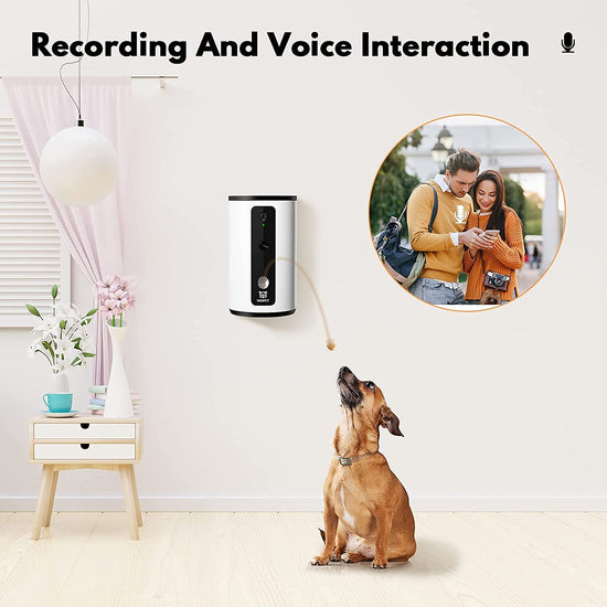 Wopet Interactive Dog Treat Camera and Treat Dispenser Toy WiFi | Guardian