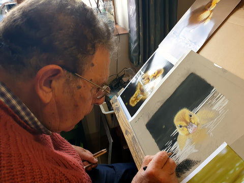 Working on a duckling swimming 2019