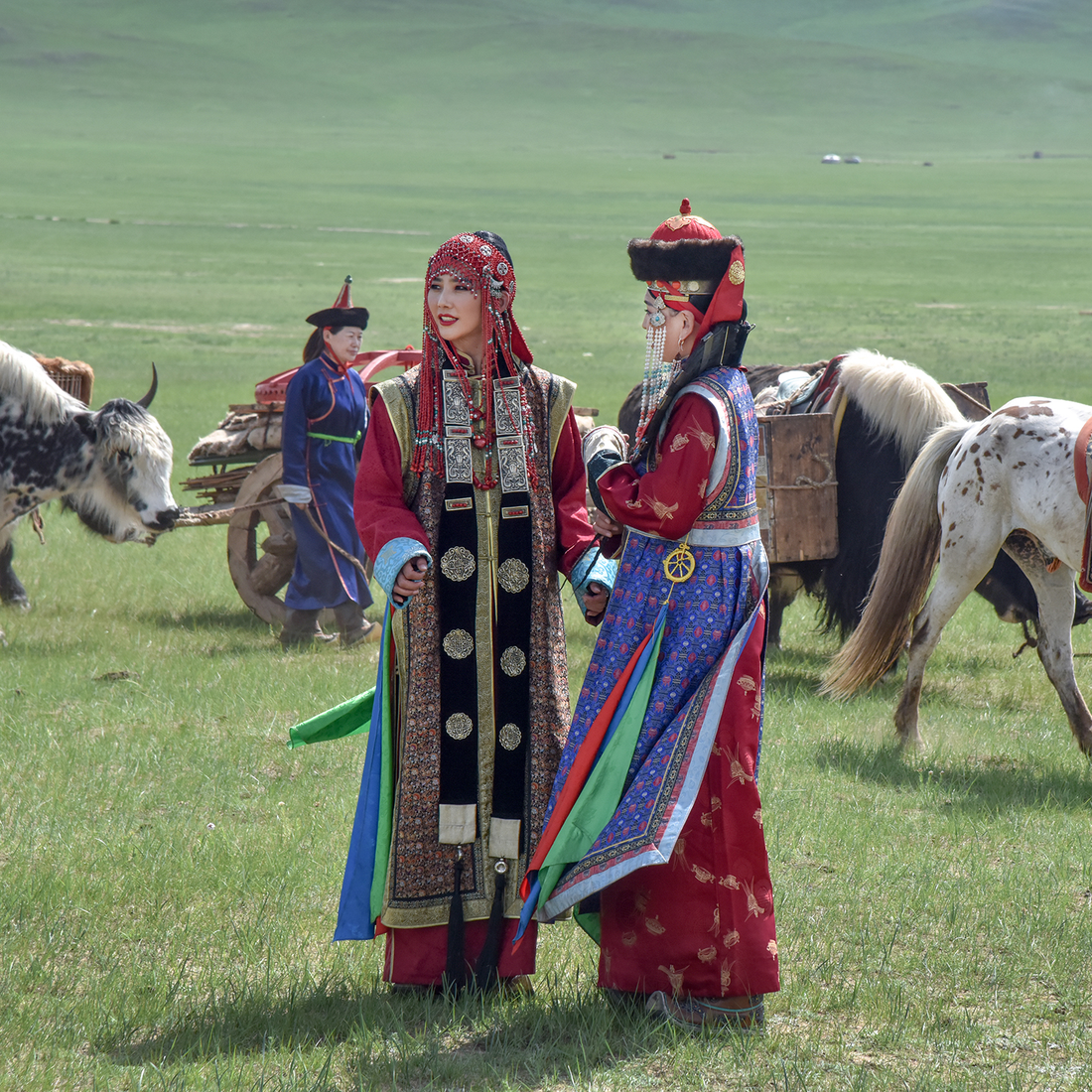 The national pride 'Naadam' festival celebrated wearing the traditiona –  Mongolian Gallery