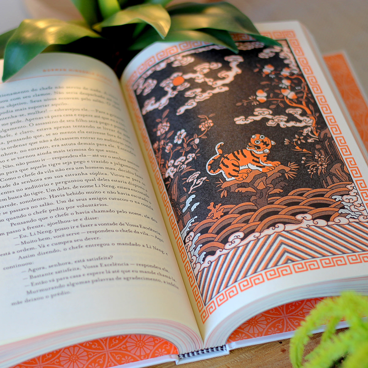 Fotografia de um livro aberto. Na esquerda, blocos de texto. Na direita, uma ilustração de página inteira com a imagem de um dragão.