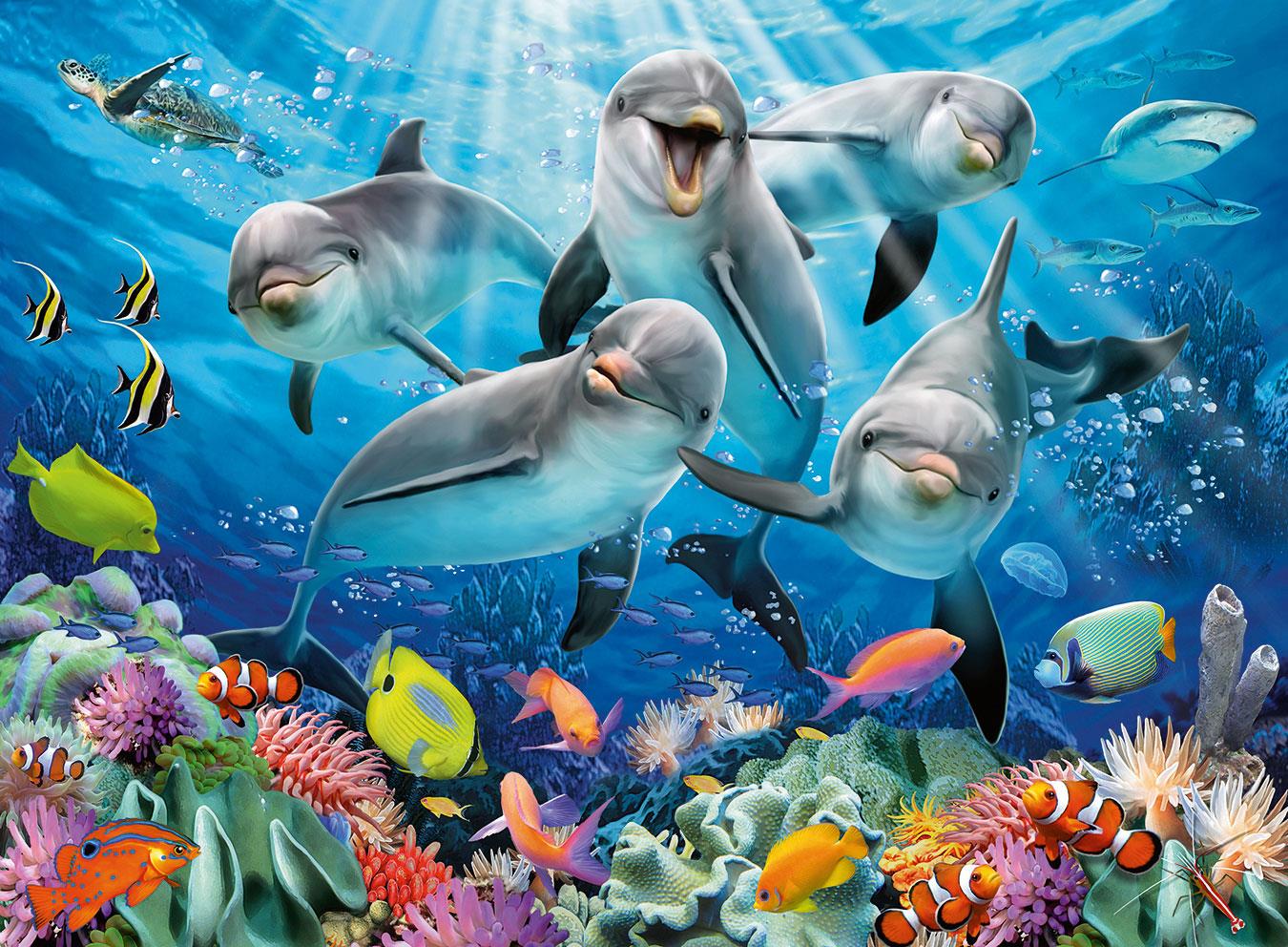 Ravensburger Dolphins Jigsaw Puzzle (500 Pieces) – PDK