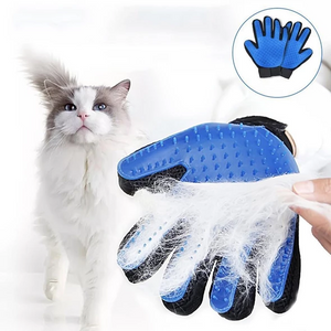 animal grooming glove