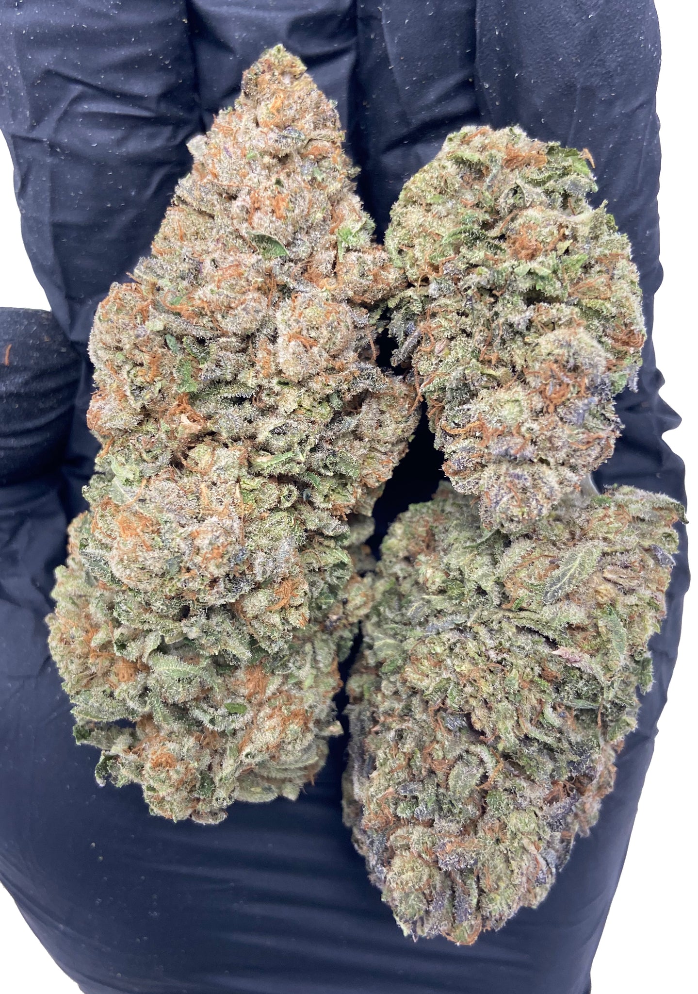 MBA Death Bubba Kush - Old School Breeders Association