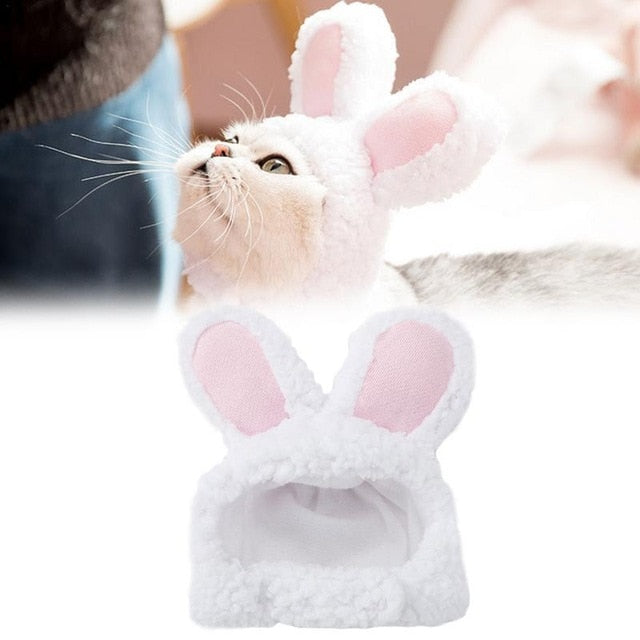 hair accessories for cats