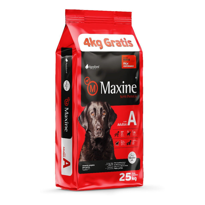 Arena Aglomerante Gato Bio Stone 30kg Con Regalo – MundoCanino