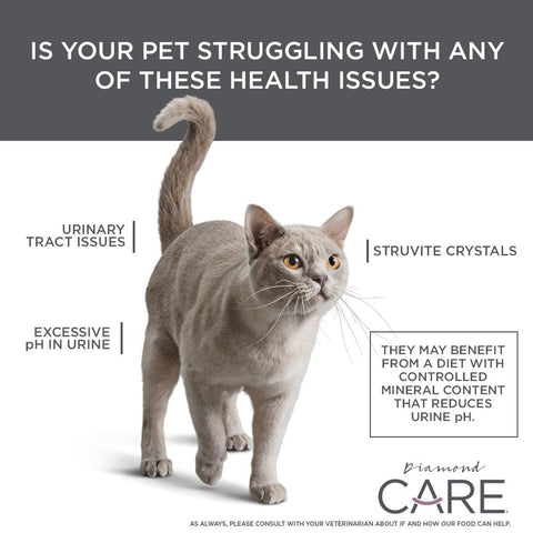 diamond care urinary cat food