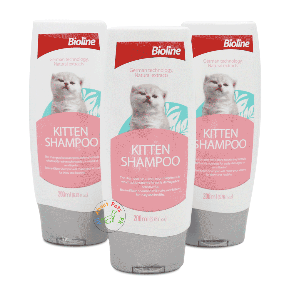 kitten shampoo