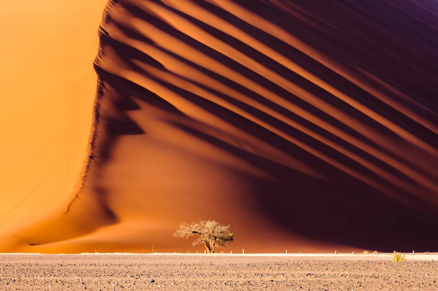 namibia park - dune 45