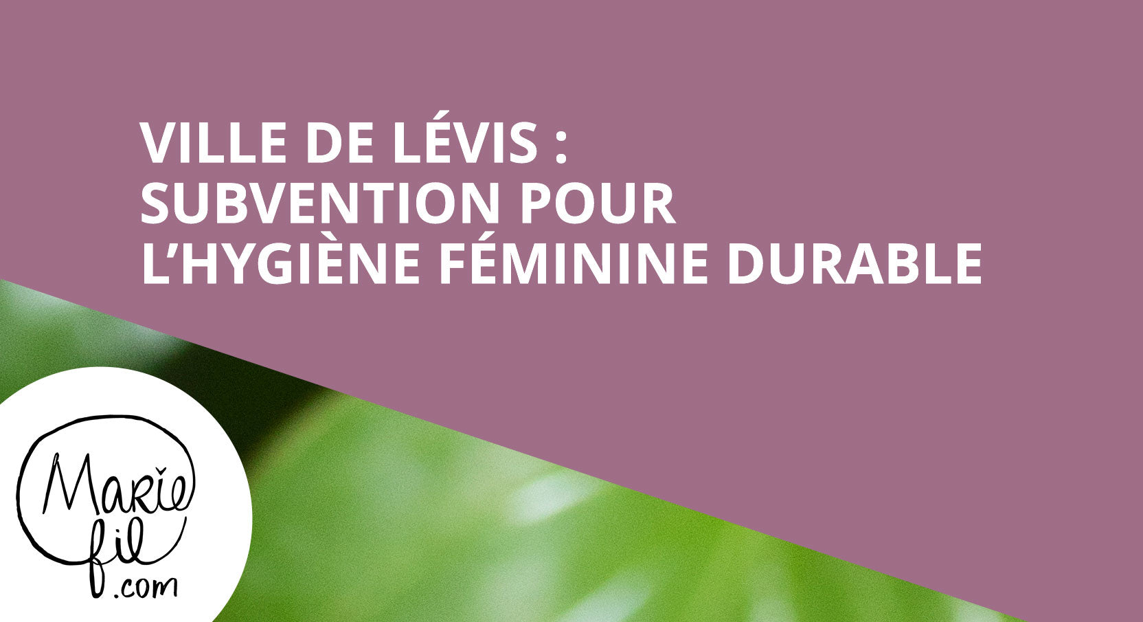 Subvention Lévis hygiène féminine durable