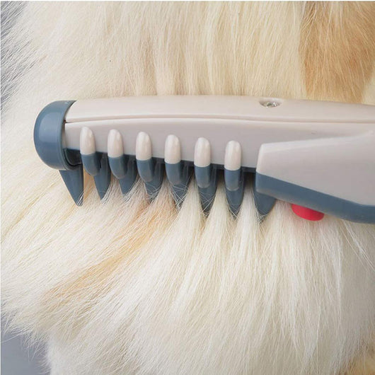 electric dog grooming brush