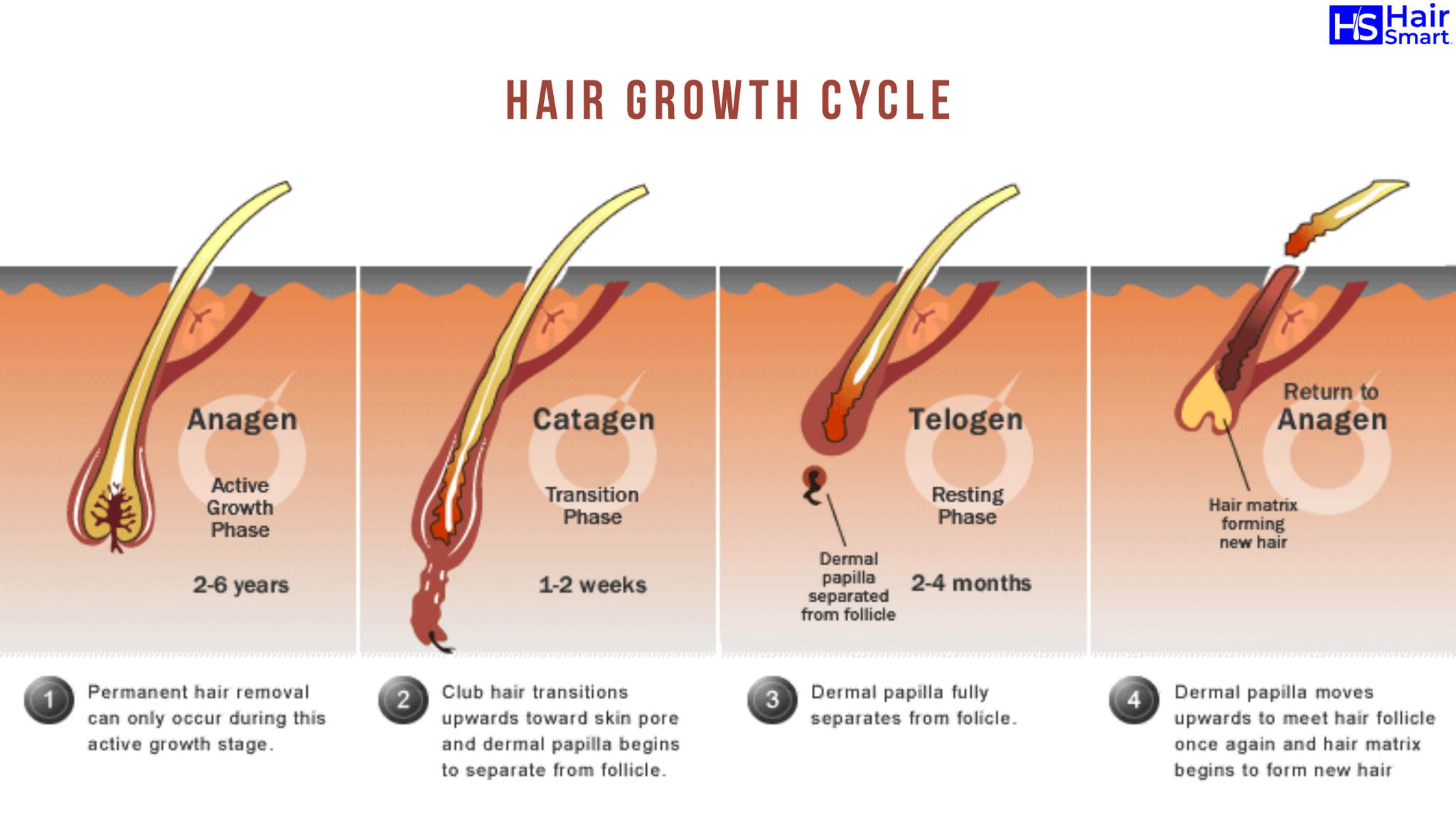 Как усилить рост волос