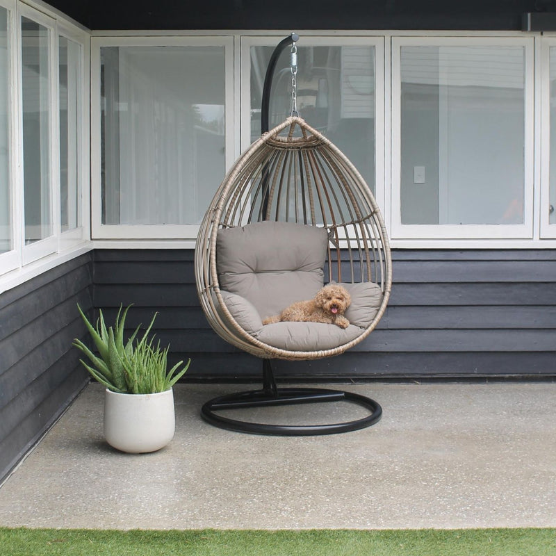 eden egg chair