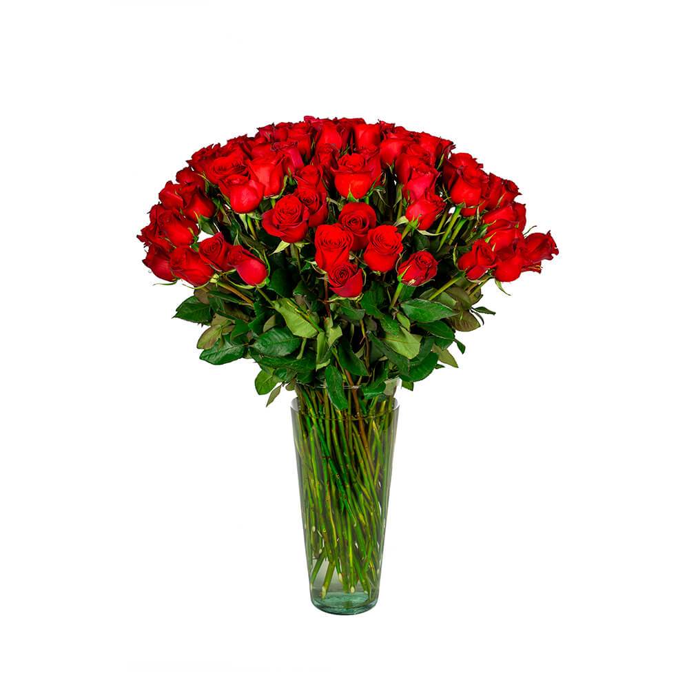 Etiqueta Negra - Florero de vidrio con 100 rosas rojas – Menta Flores ??