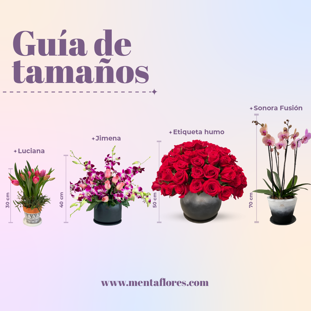 Etiqueta humo-maceta de cerámica con 75 rosas rojas – Menta Flores ??