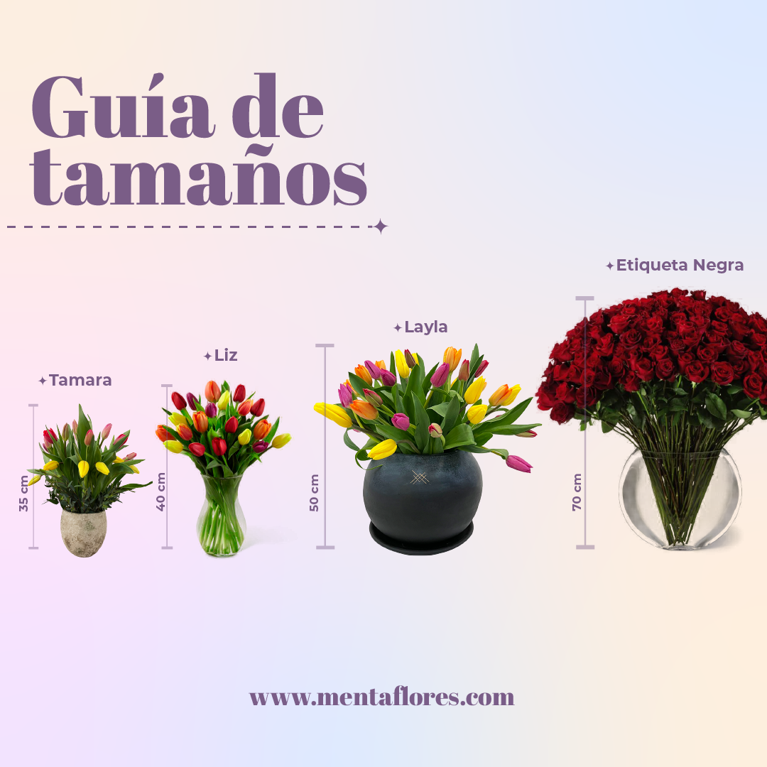 Ramo de 20 tulipanes mixtos – Menta Flores ??