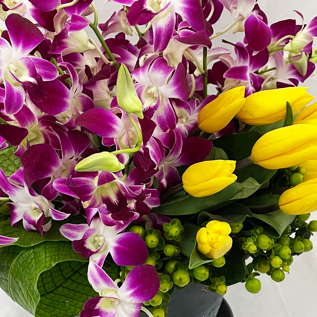 Karla- base de cerámica con orquídea dendrobium y tulipanes – Menta Flores  ??