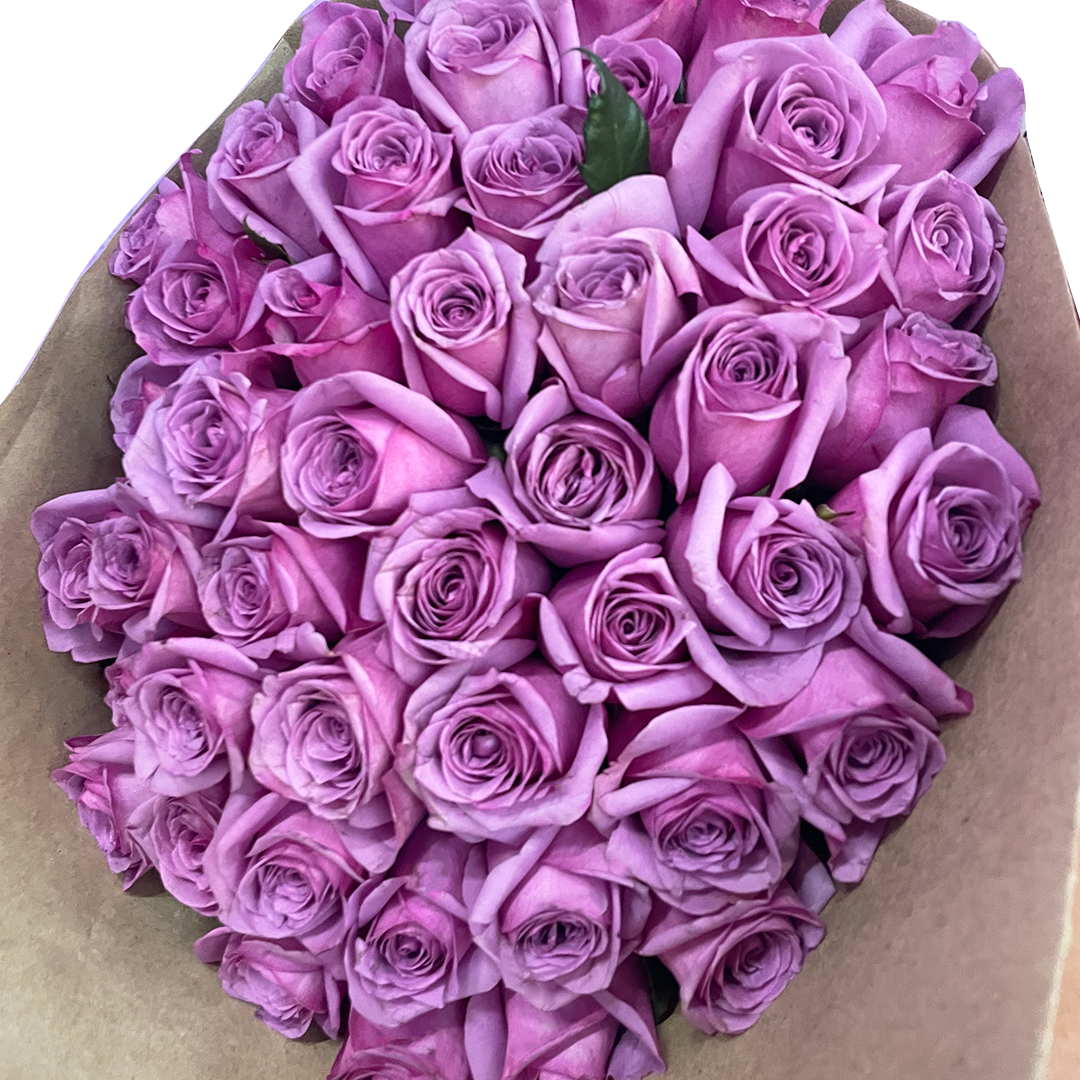 Ramo de 48 rosas lila – Menta Flores ??