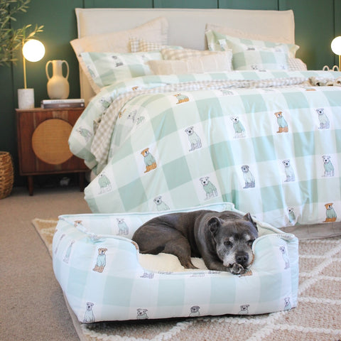 Darren and Phillip removable cover dog bed.
