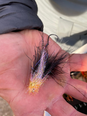 Michigan steelhead guide fly for spey casting